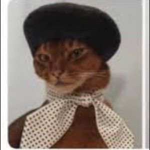 Meet your Posher, Iain